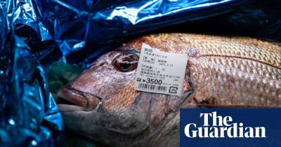 The Guardian-China drastically cuts seafood imports from Japan in wake of Fukushima water release