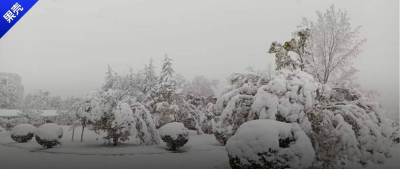 说好的“百年一遇的暴雪”，怎么一年来两次？