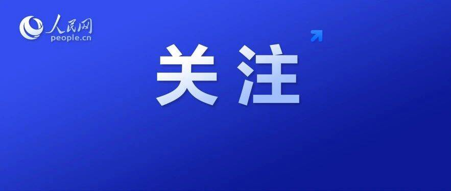 自愿回国！800余人被遣返