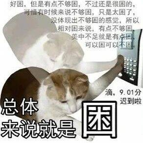 停止内卷的终极办法：冬眠！？