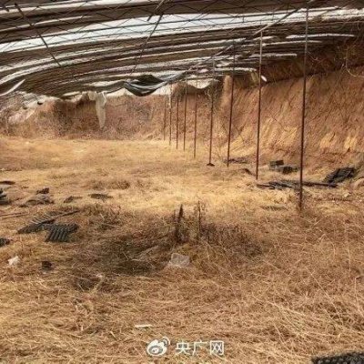 实探邯郸初中生遇害案现场，学校否认校园霸凌、家属不认可