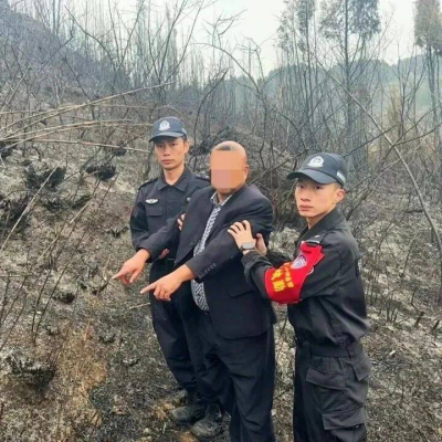 贵州多起山火肇事者，被采取强制措施