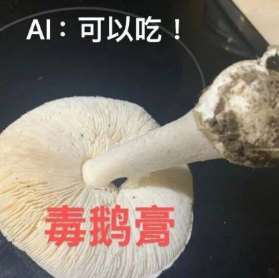 用AI软件识别毒蘑菇？AI犯错后，人吃下了毒鹅膏，差点要了命……