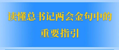 读懂总书记两会金句中的重要指引