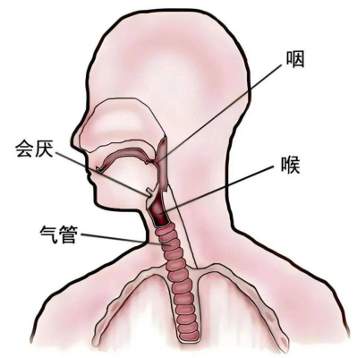 近期高发的嗓子疼，可能是一种“凶险”急症，或瞬间“封喉”引发窒息