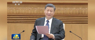 习近平同党外人士共迎新春