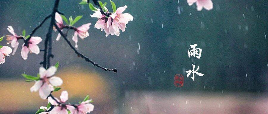 雨水：陌上花开，微雨来