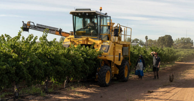 纽约时报中文网 - 英文原版-英As Relations Thaw China Lifts Tariffs on Australian Wine