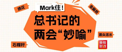 Mark住！盘点总书记在两会上的精妙比喻